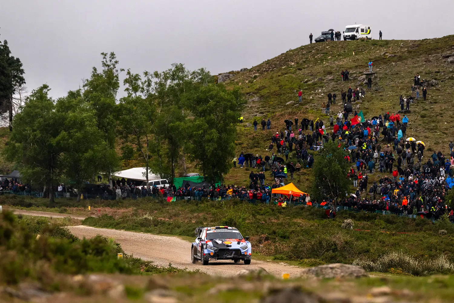 WRC 2026 - Vodafone Rally de Portugal - Saturday - Photo 4
